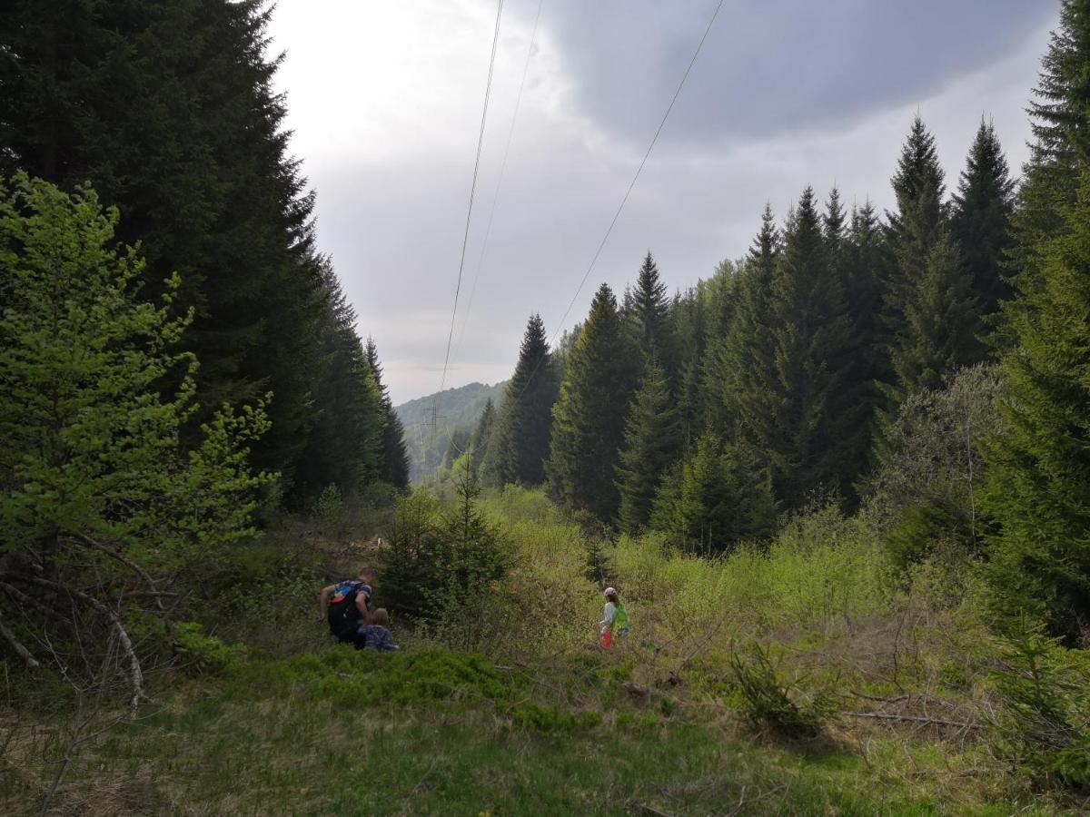Sky Cabin Apartments Kopaonik Extérieur photo